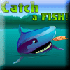 Catch a Fish screenshot